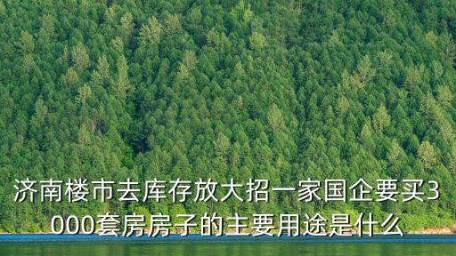 濟南樓市去庫存放大招一家國企要買3000套房房子的主要用途是什么