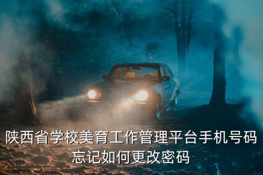 陜西省學(xué)校美育工作管理平臺手機(jī)號碼忘記如何更改密碼