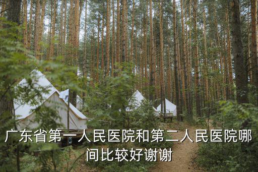 廣東省第一人民醫院和第二人民醫院哪間比較好謝謝