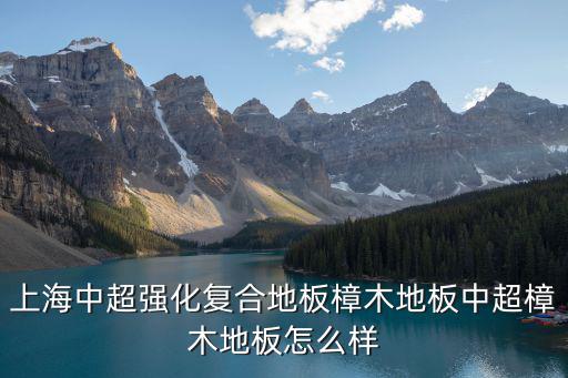 中超官網，中超投注網站我想去玩一下呢