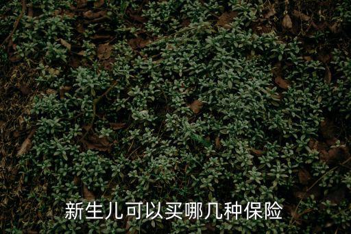 新生兒可以買哪幾種保險(xiǎn)