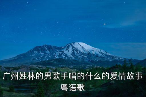 廣州姓林的男歌手唱的什么的愛(ài)情故事粵語(yǔ)歌