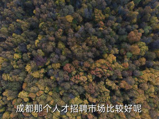 成都那個(gè)人才招聘市場(chǎng)比較好呢