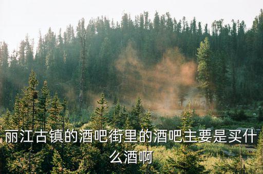 麗江古鎮的酒吧街里的酒吧主要是買什么酒啊