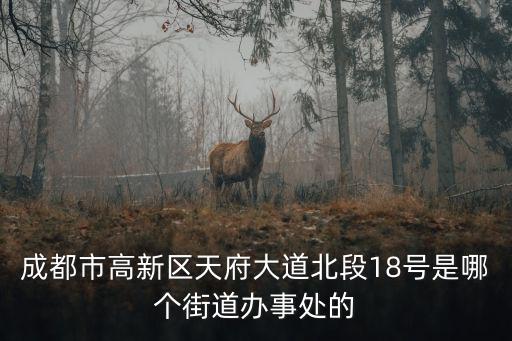 成都市高新區天府大道北段18號是哪個街道辦事處的