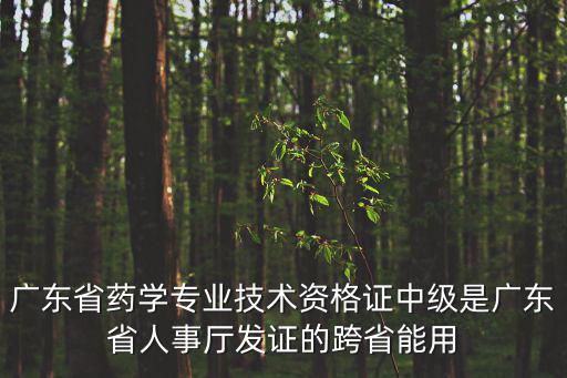 廣東省藥學專業技術資格證中級是廣東省人事廳發證的跨省能用