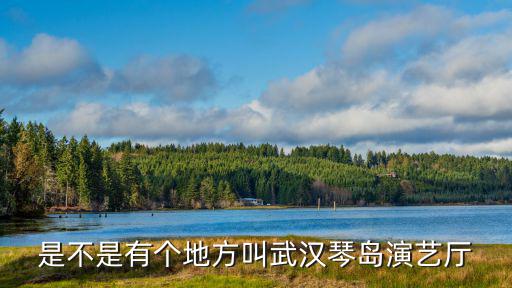 是不是有個地方叫武漢琴島演藝廳
