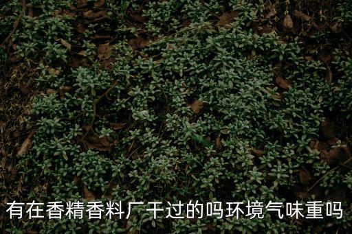 有在香精香料廠干過的嗎環境氣味重嗎