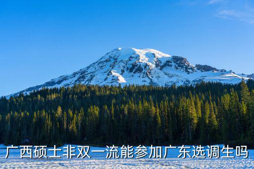 廣西碩士非雙一流能參加廣東選調(diào)生嗎