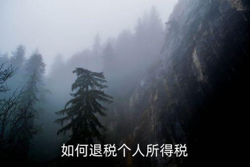 如何退稅個人所得稅