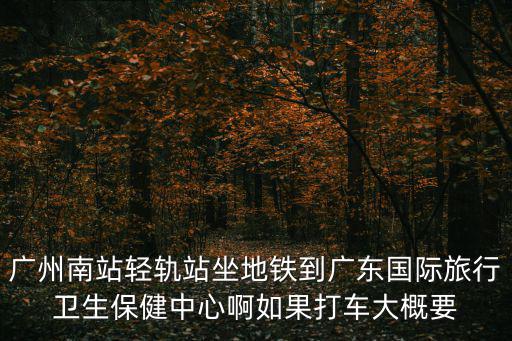 廣州南站輕軌站坐地鐵到廣東國際旅行衛(wèi)生保健中心啊如果打車大概要