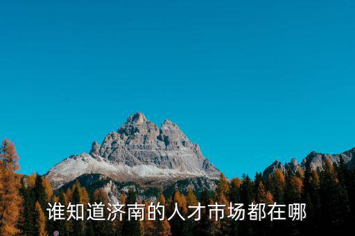 誰知道濟南的人才市場都在哪
