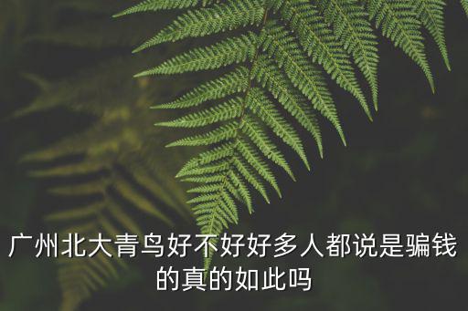 廣州北大青鳥好不好好多人都說是騙錢的真的如此嗎