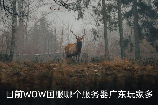 目前WOW國服哪個(gè)服務(wù)器廣東玩家多
