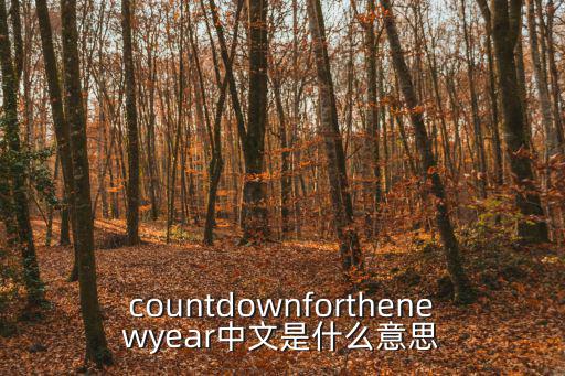 countdownforthenewyear中文是什么意思