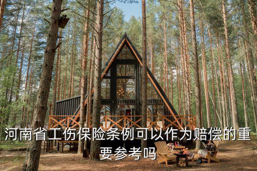 河南省工傷保險條例可以作為賠償的重要參考嗎