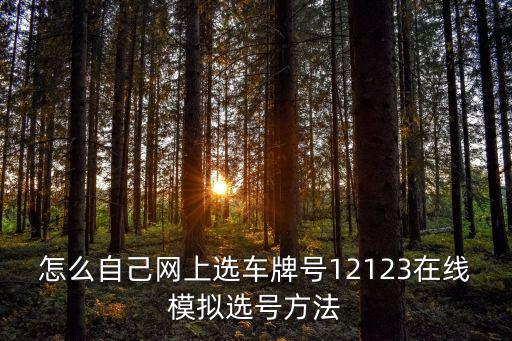 怎么自己網上選車牌號12123在線模擬選號方法