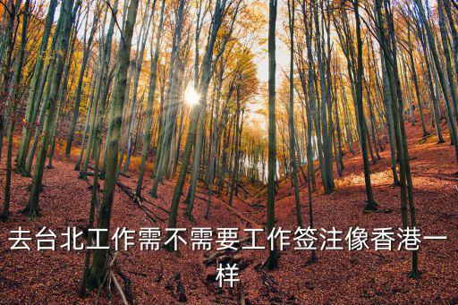 如是書店，去臺北工作需不需要工作簽注像香港一樣