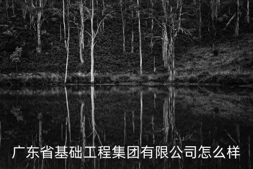 廣東省基礎(chǔ)工程集團(tuán)有限公司怎么樣