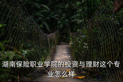 湖南保險職業(yè)技術(shù)學(xué)院，湖南保險大學(xué)錄取分?jǐn)?shù)線學(xué)校概況謝謝