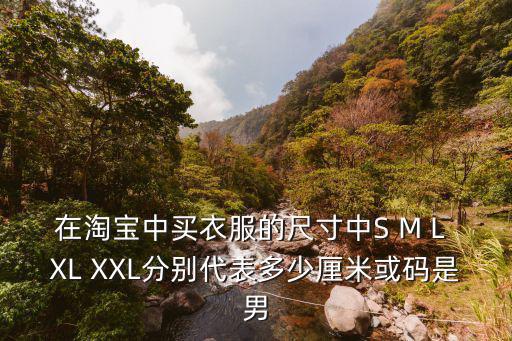 網上買衣服尺碼表，在網上買衣服尺碼怎么選有LXLMXXL他們各代表多少呢