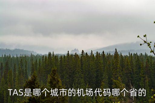 TAS是哪個城市的機場代碼哪個省的