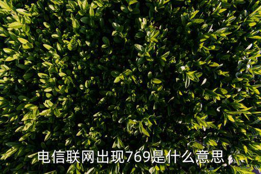 電信聯網出現769是什么意思