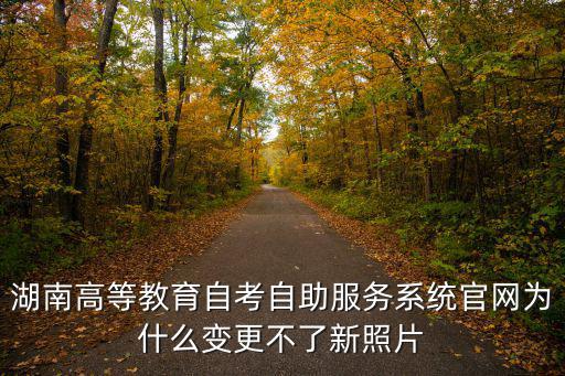 湖南高等教育自考自助服務系統官網為什么變更不了新照片