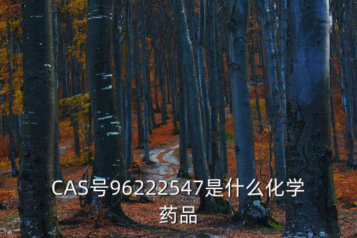 CAS號96222547是什么化學藥品