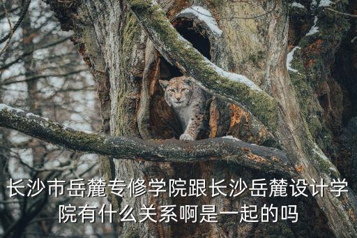 長沙市岳麓專修學院跟長沙岳麓設計學院有什么關系啊是一起的嗎