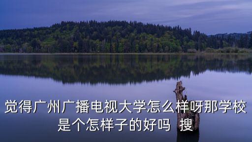 覺(jué)得廣州廣播電視大學(xué)怎么樣呀那學(xué)校是個(gè)怎樣子的好嗎  搜