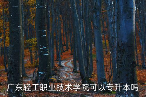 廣東輕工職業(yè)技術(shù)學(xué)院可以專升本嗎