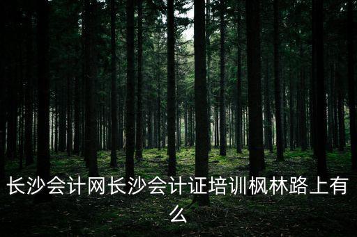 長沙會計網長沙會計證培訓楓林路上有么