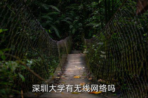 深圳大學(xué)有無線網(wǎng)絡(luò)嗎