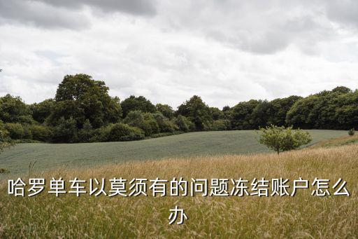 哈羅單車以莫須有的問題凍結賬戶怎么辦