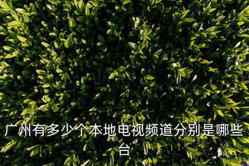 廣州綜合頻道，廣州有多少個本地電視頻道分別是哪些臺