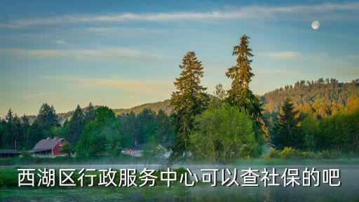 西湖區(qū)行政服務(wù)中心可以查社保的吧