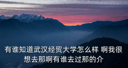 武漢經貿大學，對外經濟貿易大學和武漢大學那個好