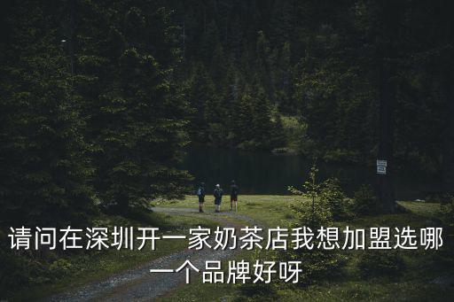 請問在深圳開一家奶茶店我想加盟選哪一個品牌好呀