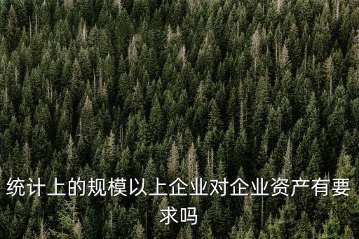 規模以上企業標準，統計上的規模以上企業對企業資產有要求嗎