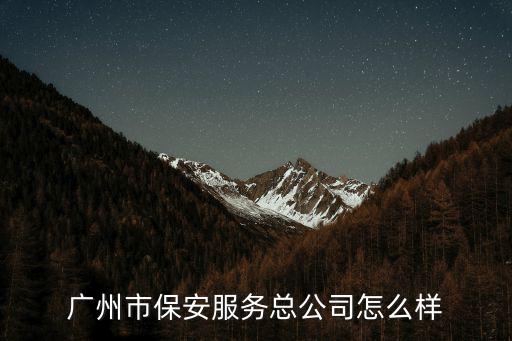 廣州市保安服務(wù)總公司怎么樣