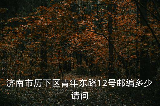 濟南市歷下區青年東路12號郵編多少請問