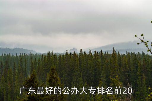 廣東最好的公辦大專排名前20