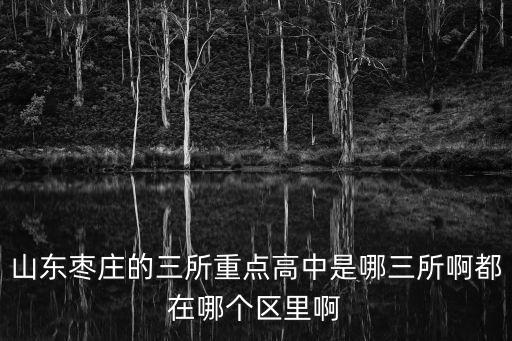 山東棗莊的三所重點高中是哪三所啊都在哪個區里啊
