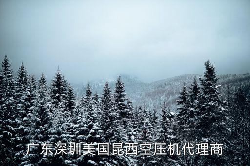 廣東深圳美國昆西空壓機代理商
