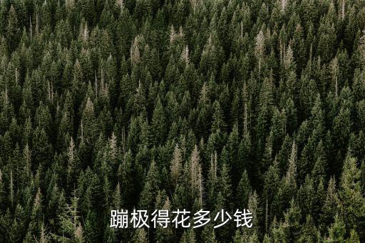 蹦極得花多少錢