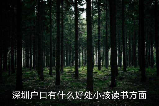 深圳戶口有什么好處小孩讀書方面