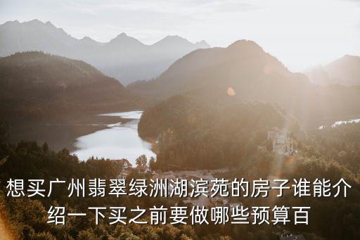 想買廣州翡翠綠洲湖濱苑的房子誰能介紹一下買之前要做哪些預算百