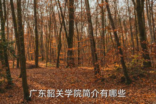 廣東韶關學院簡介有哪些