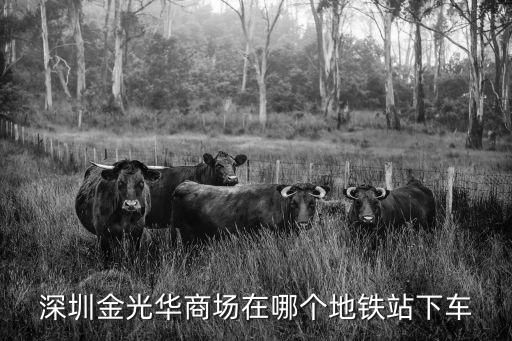 深圳金光華商場在哪個地鐵站下車